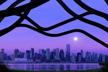 东莞南城借钱空放利息揭秘：揭秘真实利率，助您明智贷款