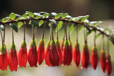 东莞南城私人快速借钱网，轻松解决资金难题