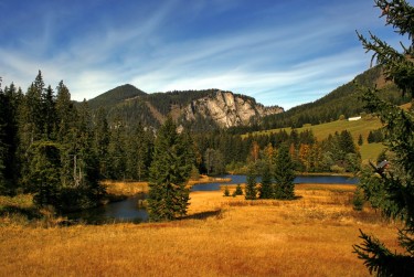 东莞南城民间私贷攻略：揭秘低成本借贷的秘密