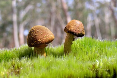 东莞南城私人老板放款：轻松融资的秘密通道